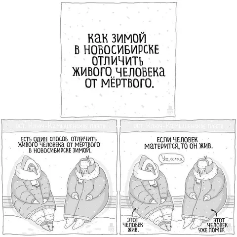 Как зимой отличить живого в Новосибирске