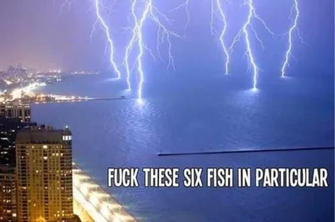Fuck These Six Fish