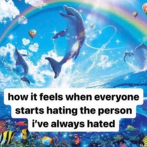 Everyone Hates My Hated Person