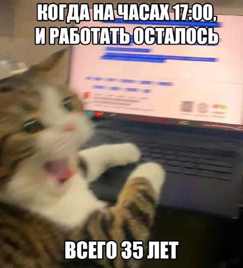 Когда до дедлайна пять часов