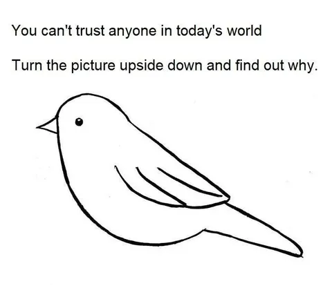 Trust No One Bird Trick