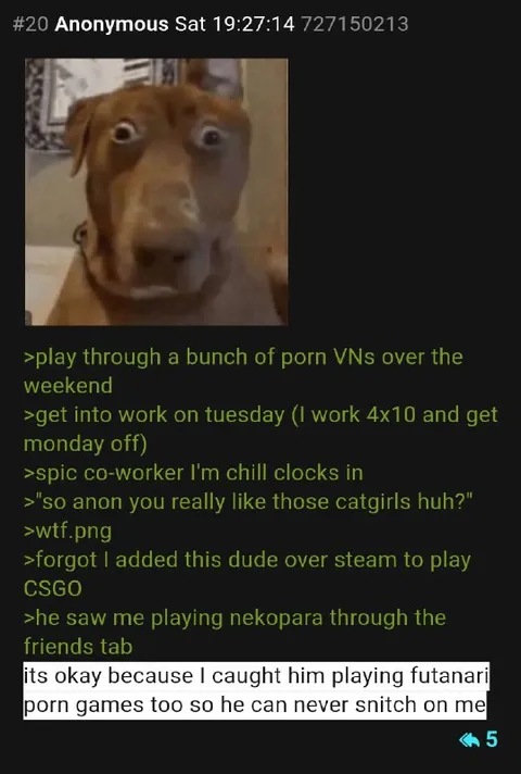 Coworker Catches Catgirl Games