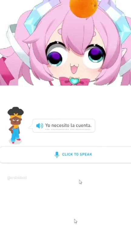 Yo necesito la cuenta