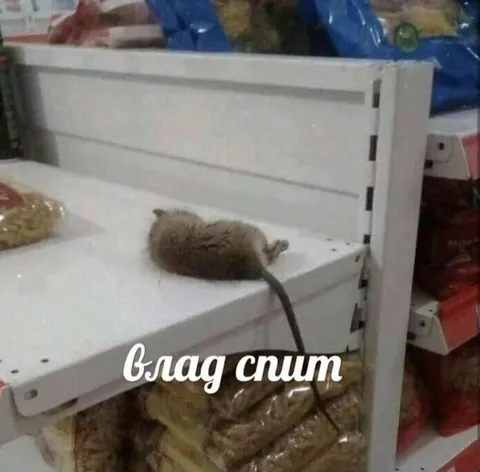 Влад спит на полке
