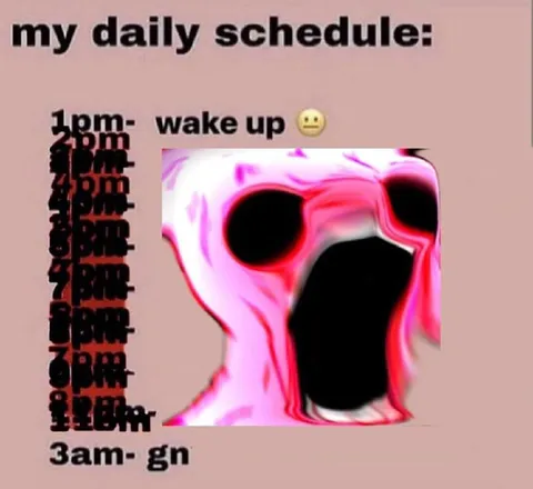 My Daily Schedule
