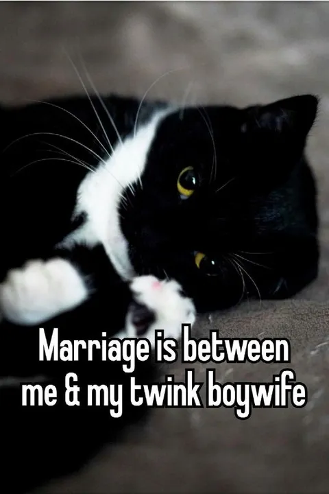 Marriage With My Twink Boywife