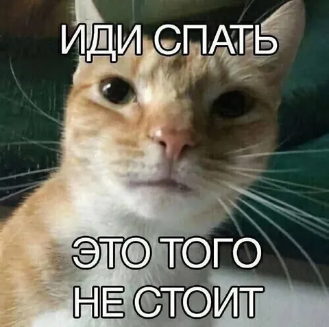 Кот не хочет спать