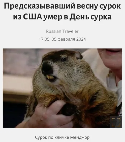 Сурок Мейджор умер в День сурка