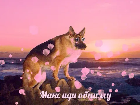 Макс, иди обниму