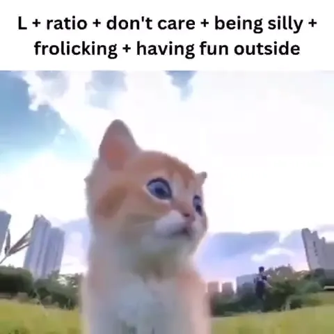 Kitten Frolicking Outside