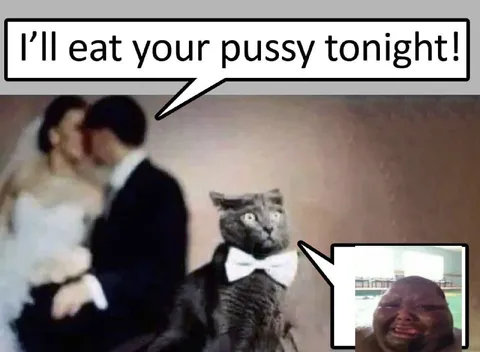 Cat Interrupts the Wedding