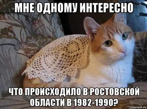Что происходило в Ростовской области