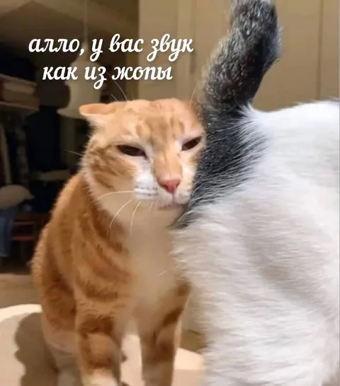 Звук как из жопы