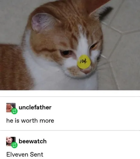 Cat Worth More Than Eleven Cents