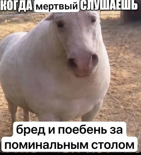 Когда мертвый слушаешь бред