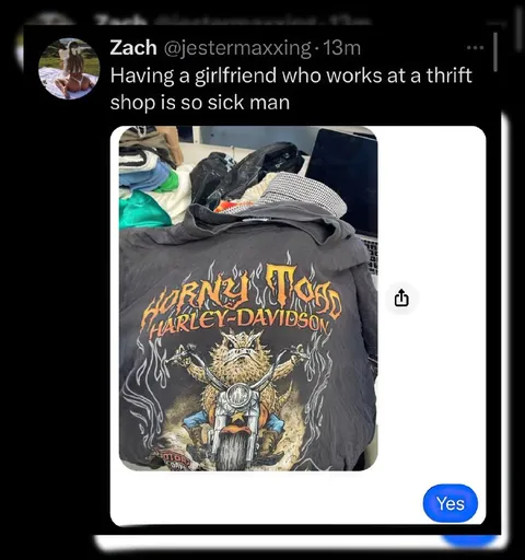 Thrift Shop Harley Shirt