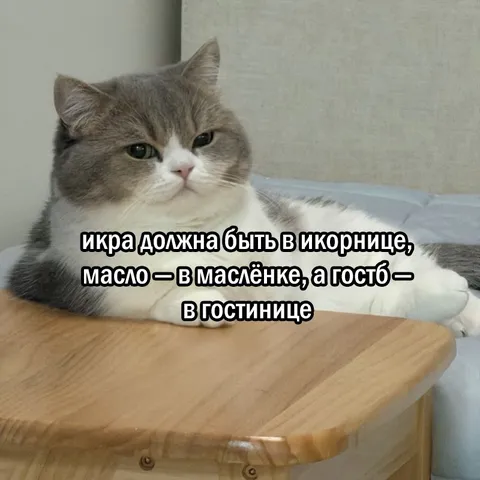 Икра в икорнице, гость в гостинице