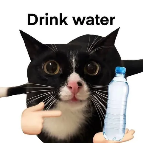 Drink Water Cat