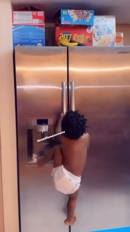 Baby Climbs the Refrigerator