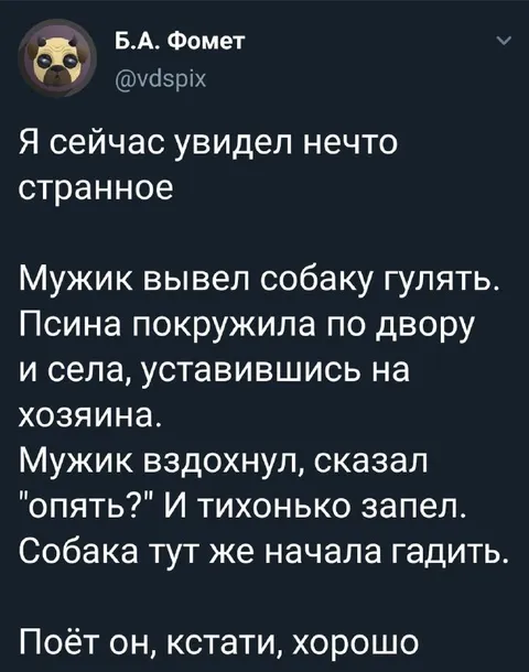 Собака начала гадить под песню