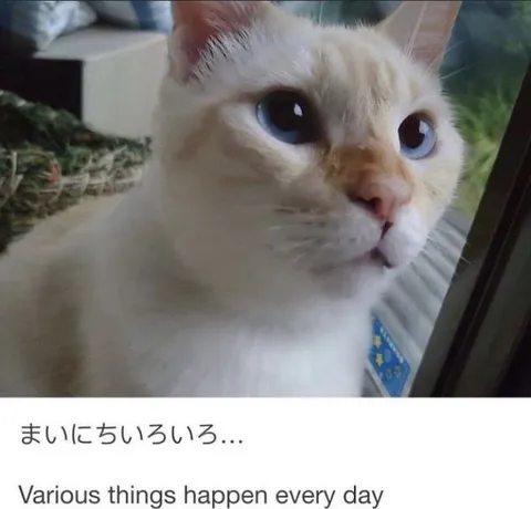 毎日いろいろ起こる