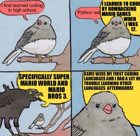 Birds Discuss Learning to Code
