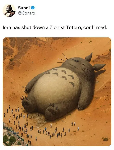 Iran Shoots Down Zionist Totoro