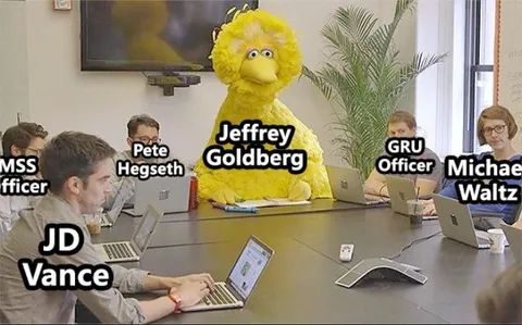 Big Bird in the Signal chat