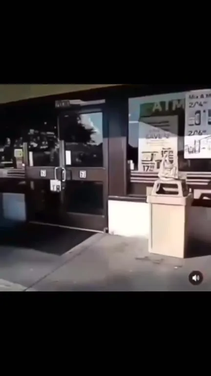 Filling a Bag With Newport Cigarettes