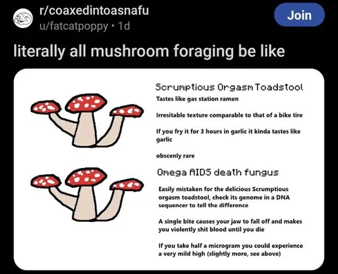 Mushroom Foraging Be Like