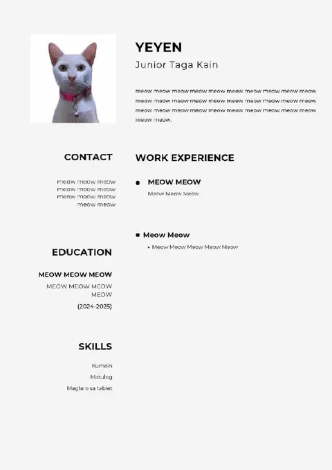 Cat Resume With Meow Skills