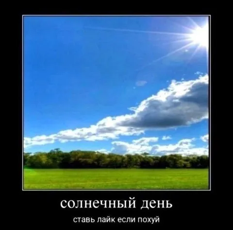 Солнечный день — всё равно похуй