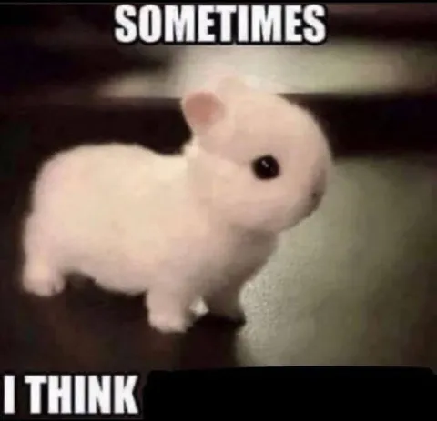 Sometimes I Think Bunny
