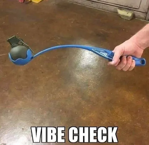 Vibe Check Tool