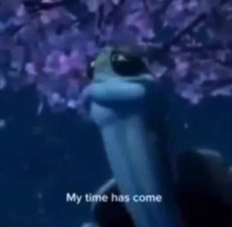 My Time Has Come Fish Meme