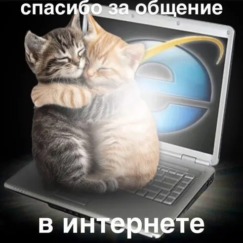 Котята благодарят за общение
