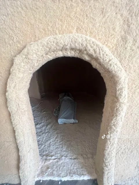 Кот спрятался в домике