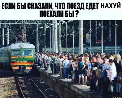Поезд едет нахуй