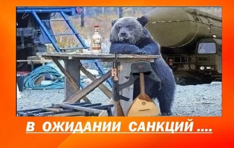 Медведь в ожидании санкций