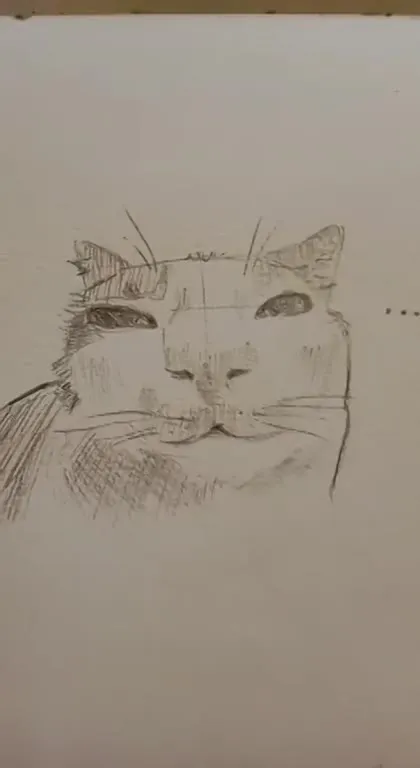 Cat Says Hello to Everynyun