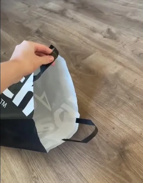 Cat Hides in Shopping Bag