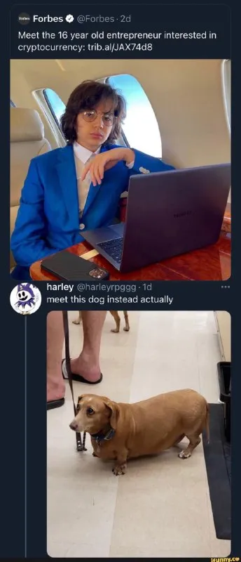 Meet the Dog Entrepreneur