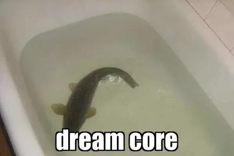 dream core fish in bathtub