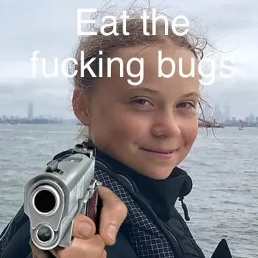 Eat the fucking bugs