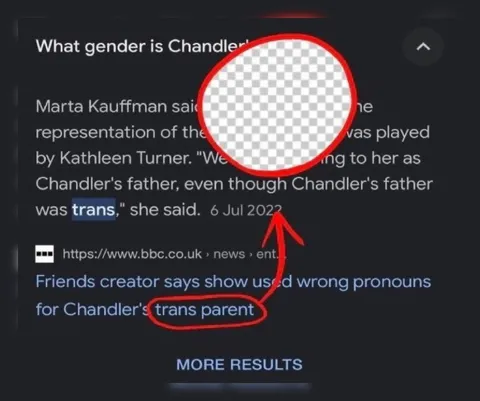 Chandler's Trans Parent Search Result
