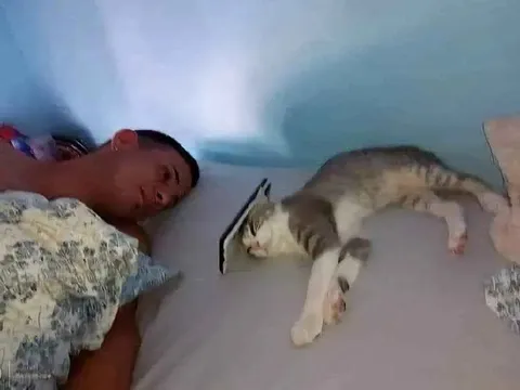 Мужчина спит рядом с котом