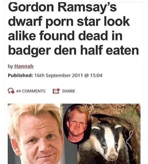 Gordon Ramsay Badger Lookalike