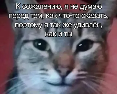 Кот, который не думает