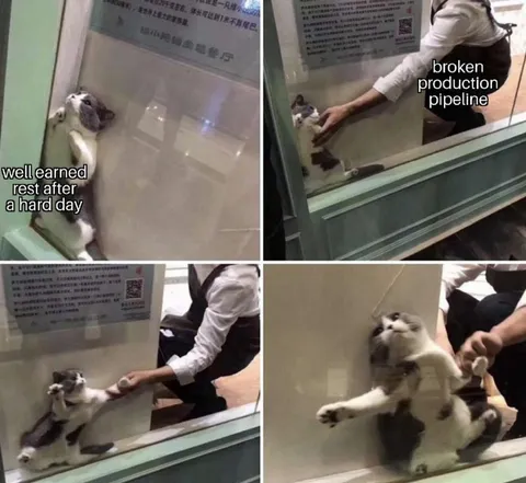 Cat Enjoys a Hard Day's Rest