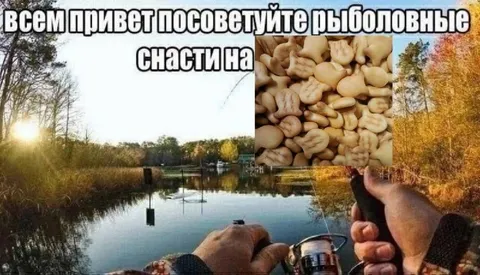 Рыболовные снасти из печенья